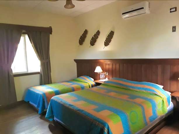 Imagen de la habitación del Hotel Vi&ntilde;as del Lago. Foto 12