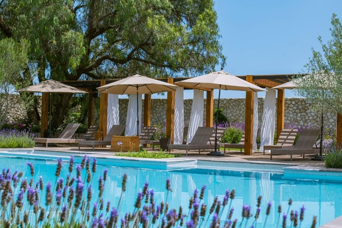Imagen de la piscina del Hotel Vi&ntilde;edos San Francisco. Foto 19