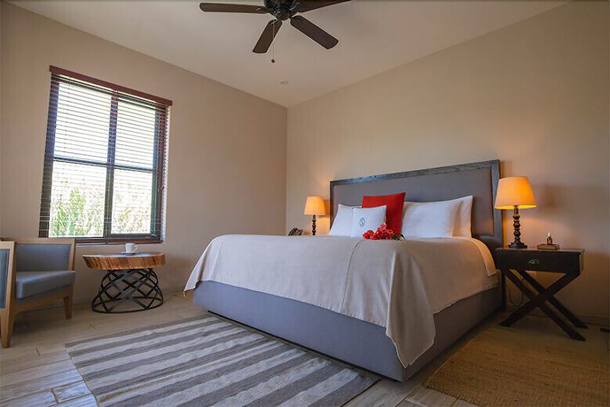 Imagen de la habitación del Hotel Vi&ntilde;edos San Lucas, San Miguel de Allende. Foto 8