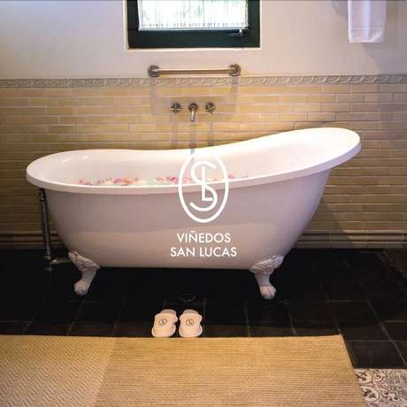 Imagen de la habitación del Hotel Vi&ntilde;edos San Lucas, San Miguel de Allende. Foto 13