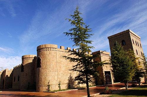 Imagen general del Hotel Viñedos Y Bodegas El Castillo. Foto 6