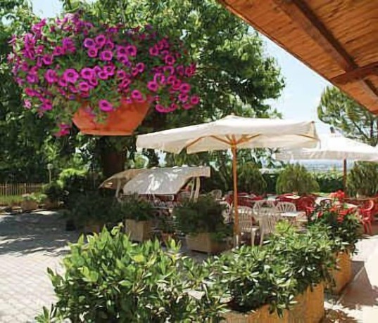 Imagen de los exteriores del Hotel Viole Country. Foto 16