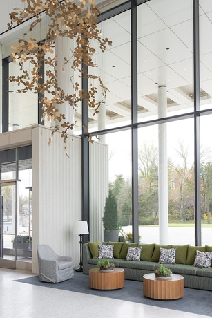 Imagen de los interiores del Hotel Virginia Guesthouse. Foto 16