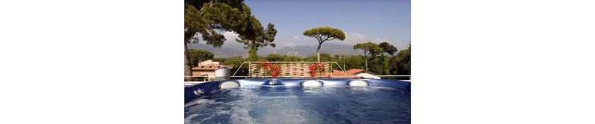 Imagen de la piscina del Hotel Viscardo. Foto 19