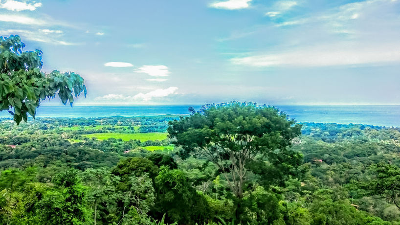 Imagen de la piscina del Hotel Vista Ballena. Foto 10