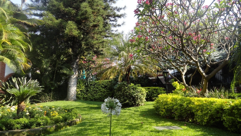 Imagen de los exteriores del Hotel Vista Hermosa. Foto 10