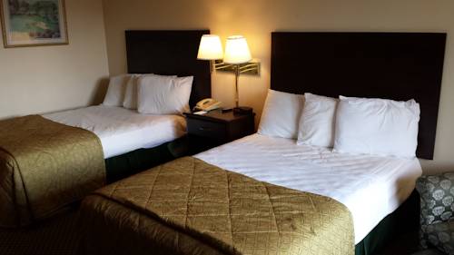 Imagen de la habitación del Hotel Vista Inn and Suites Tampa. Foto 6