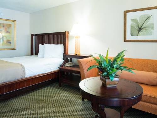 Imagen de la habitación del Hotel Vista Inn and Suites Tampa. Foto 8