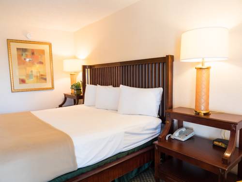 Imagen de la habitación del Hotel Vista Inn and Suites Tampa. Foto 10