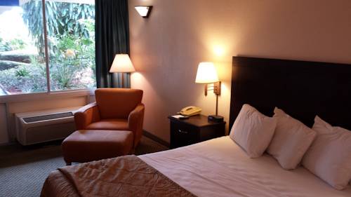 Imagen de la habitación del Hotel Vista Inn and Suites Tampa. Foto 16