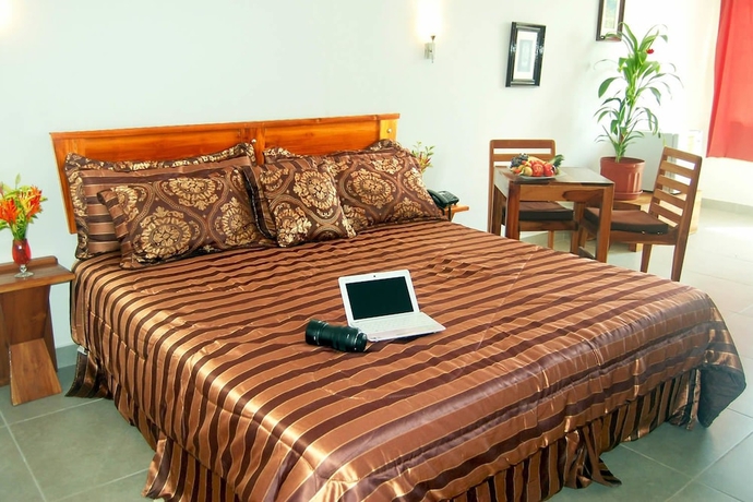 Imagen de la habitación del Hotel Vista Lago Ecoresort. Foto 7