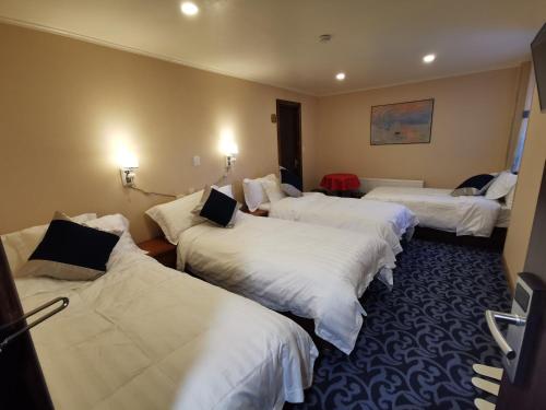 Imagen general del Hotel Vista Mar, PUERTO MONTT. Foto 5