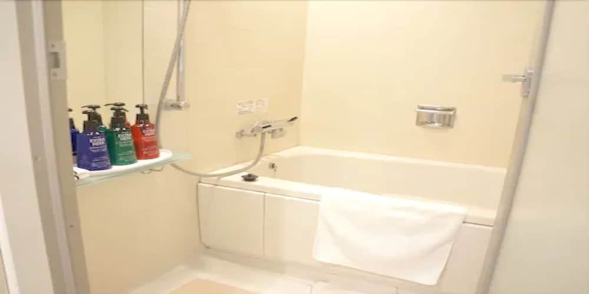 Imagen de la habitación del Hotel Vista Sapporo Nakajimakohen. Foto 13