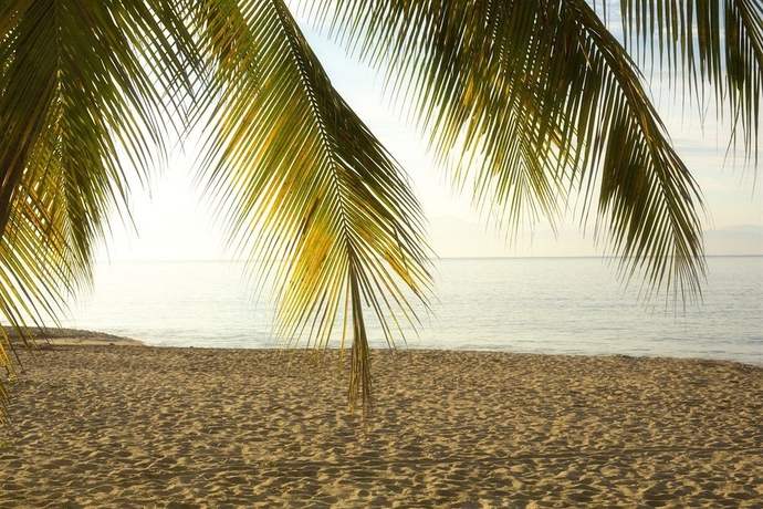 Imagen de los exteriores del Hotel Vista Vallarta All Suites On The Beach. Foto 13