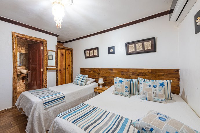 Imagen de la habitación del Hotel Vista de Aguilas Ecolodge. Foto 12