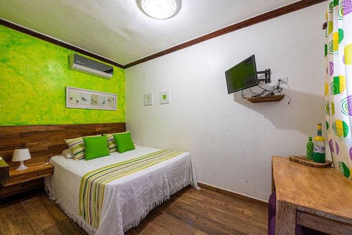 Imagen de la habitación del Hotel Vista de Aguilas Ecolodge. Foto 14