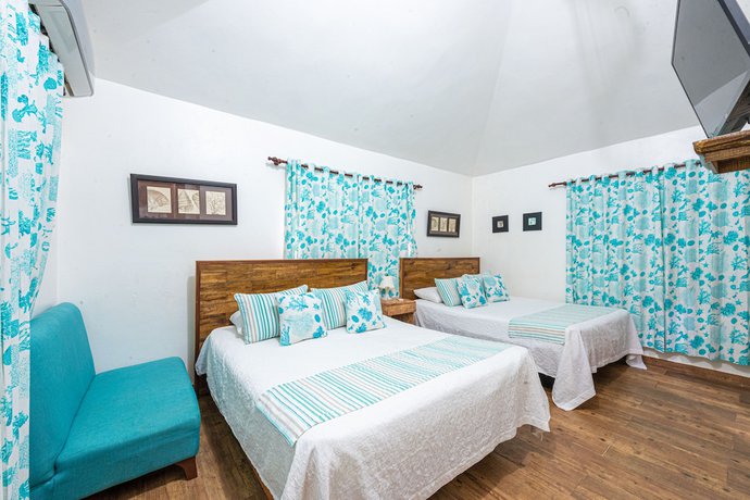Imagen de la habitación del Hotel Vista de Aguilas Ecolodge. Foto 15
