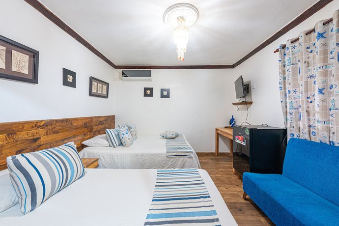 Imagen de la habitación del Hotel Vista de Aguilas Ecolodge. Foto 19