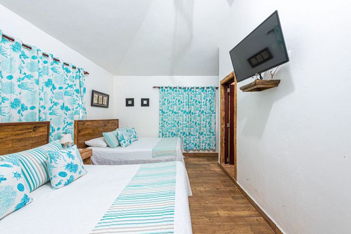 Imagen de la habitación del Hotel Vista de Aguilas Ecolodge. Foto 20