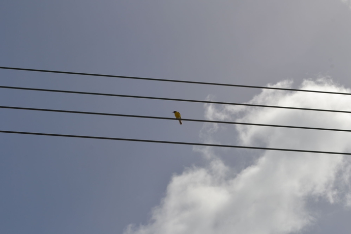 Imagen de los exteriores del Hotel Vistalmar Ocean Suites. Foto 9