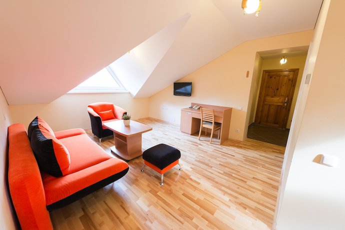 Imagen de la habitación del Hotel Vita, Druskininkai. Foto 19