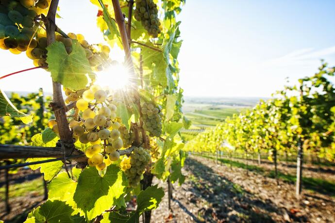 Imagen general del Hotel Vital An Der Therme. Foto 9