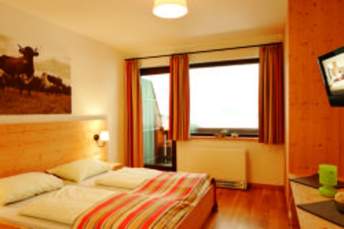 Imagen general del Hotel Vitalhotel Gosau. Foto 9