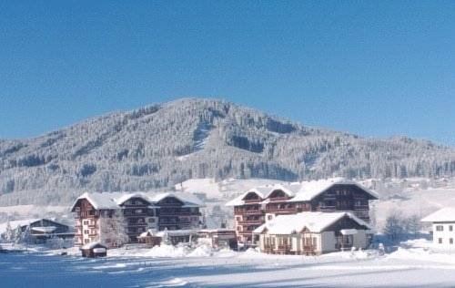 Imagen general del Hotel Vitalhotel Gosau. Foto 11