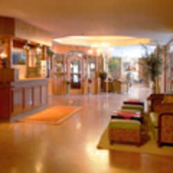 Imagen de los interiores del Hotel Vitalhotel Gosau. Foto 20