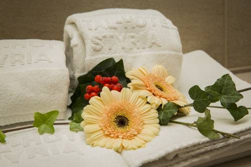 Imagen de la habitación del Hotel Vital-hotel-styria. Foto 7