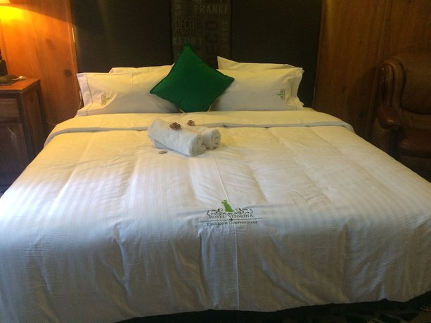 Imagen de la habitación del Hotel Vitorina, Atlixco. Foto 11