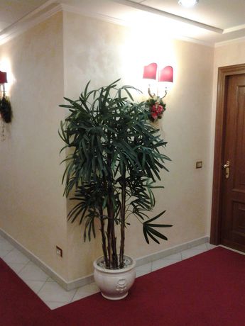 Imagen de los interiores del Hotel Vitti. Foto 7