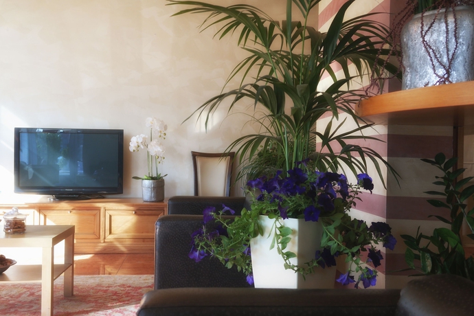 Imagen de los interiores del Hotel Vittoria, Sarmeola. Foto 17