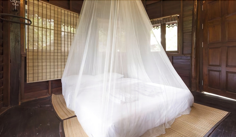Imagen de la habitación del Hotel Viva Chiang Mai. Foto 11