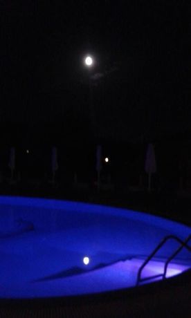 Imagen de la piscina del Hotel Viva Mare, Fenikounta. Foto 15
