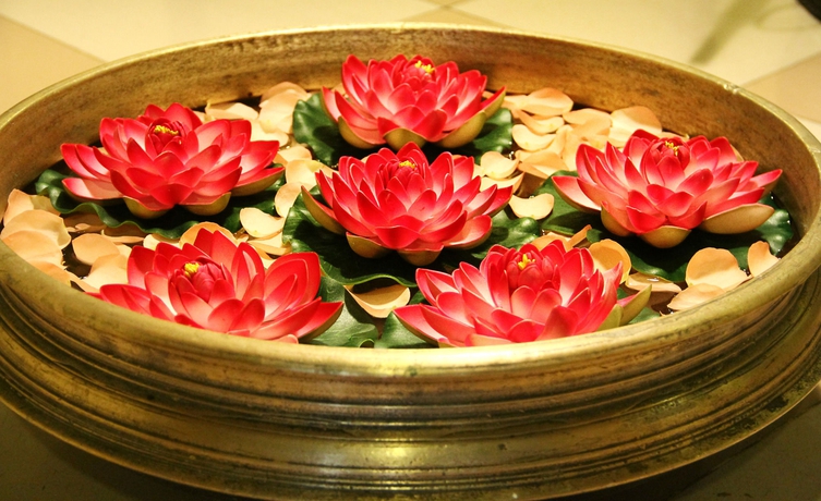 Imagen de la piscina del Hotel Vivanta Bengaluru Residency Road. Foto 16