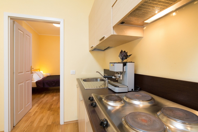 Imagen de la habitación del Hotel Vlkova Palace. Foto 10