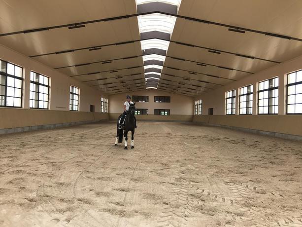 Imagen de los exteriores del Hotel Vmg Horse Ranch. Foto 18