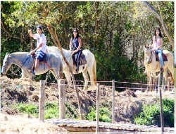 Imagen general del Hotel Voa Mirante Do Caf&eacute;. Foto 3