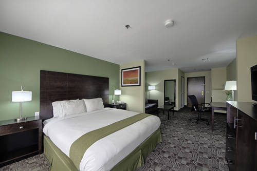 Imagen de la habitación del Hotel Voco Solana Beach - Del Mar by IHG. Foto 12