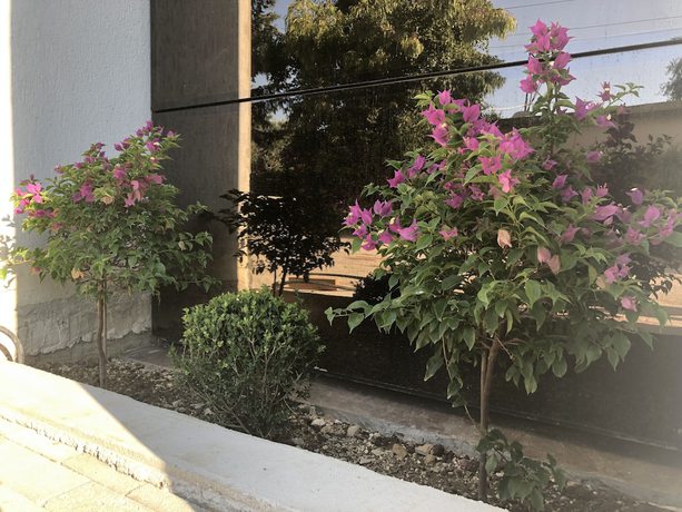 Imagen general del Hotel Vogue Boutique, Radhim&euml;. Foto 2