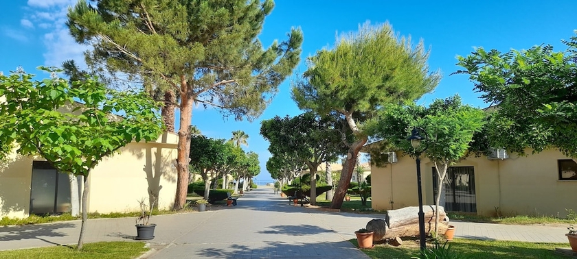 Imagen del bar/restaurante del Hotel Voi Le Muse Essentia. Foto 6