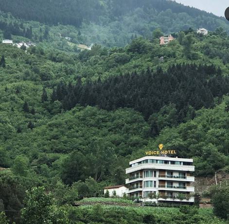 Imagen general del Hotel Voice. Foto 1