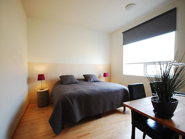 Imagen de la habitación del Hotel Volcano. Foto 14