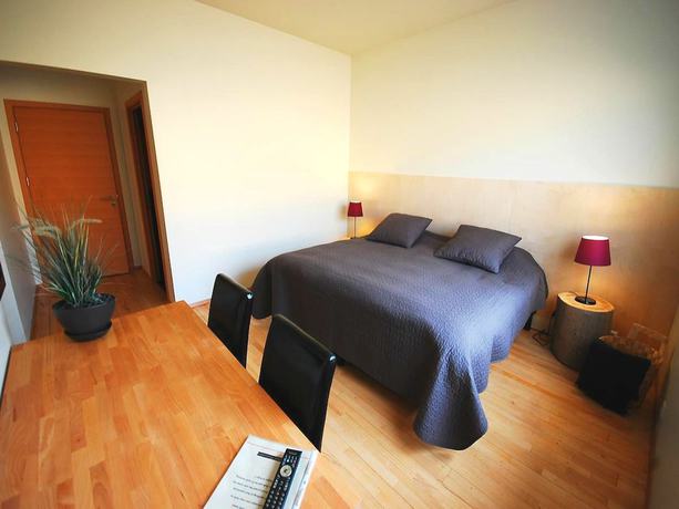 Imagen de la habitación del Hotel Volcano. Foto 15