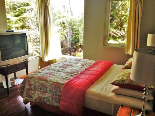 Imagen de la habitación del Hotel Volcano Inn. Foto 5