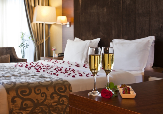 Imagen de la habitación del Hotel Volley Istanbul. Foto 2