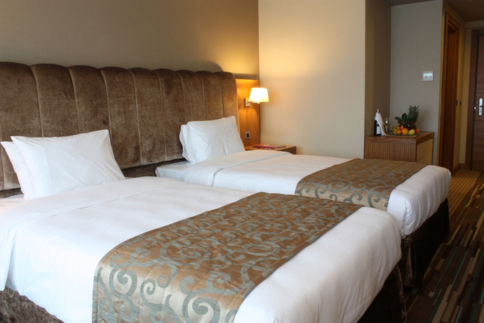 Imagen de la habitación del Hotel Volley Istanbul. Foto 8