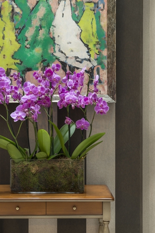 Imagen de los interiores del Hotel Volney Opera. Foto 15