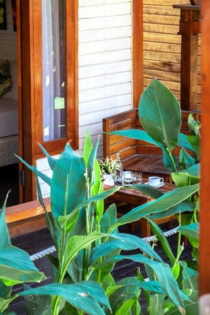 Imagen de la habitación del Hotel Voodoo Gili. Foto 11